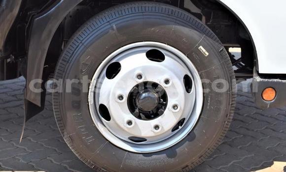 Buy Used Hino 300 Series White Truck in Big Bend in Lubombo Buy Used Hino 300 Series White Truck in Big Bend in Lubombo