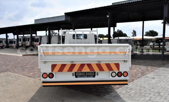 Buy Used Hino 300 Series White Truck in Big Bend in Lubombo Buy Used Hino 300 Series White Truck in Big Bend in Lubombo