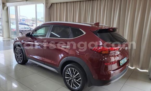 Acheter Occasion Voiture Hyundai Tucson Rouge à Big Bend, Lubombo District Acheter Occasion Voiture Hyundai Tucson Rouge à Big Bend, Lubombo District