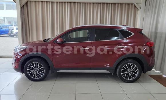 Acheter Occasion Voiture Hyundai Tucson Rouge à Big Bend, Lubombo District Acheter Occasion Voiture Hyundai Tucson Rouge à Big Bend, Lubombo District