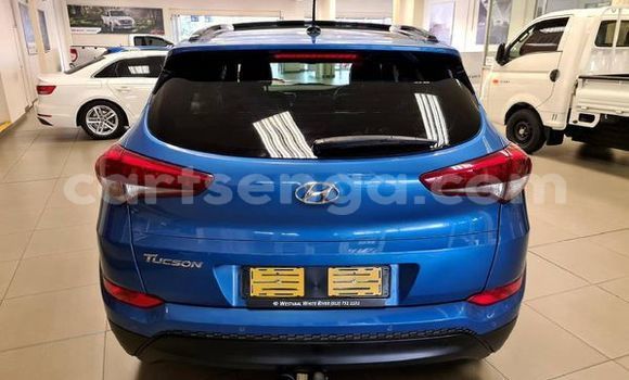 Buy Used Hyundai Tucson Blue Car in Ezulwini in Hhohho Buy Used Hyundai Tucson Blue Car in Ezulwini in Hhohho