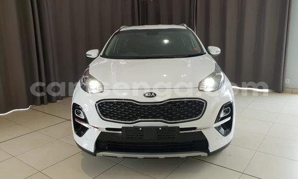 Buy Used Kia Sportage White Car in Manzini in Manzini Buy Used Kia Sportage White Car in Manzini in Manzini