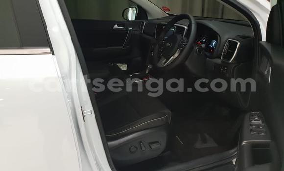 Buy Used Kia Sportage White Car in Manzini in Manzini Buy Used Kia Sportage White Car in Manzini in Manzini