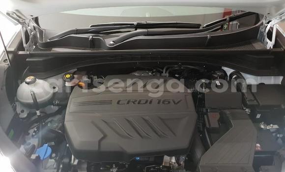 Buy Used Kia Sportage White Car in Manzini in Manzini Buy Used Kia Sportage White Car in Manzini in Manzini