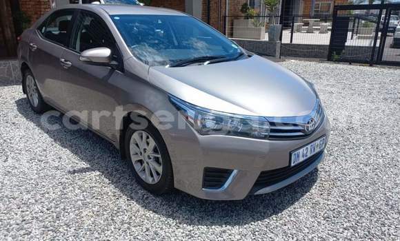 Nunua Ilio tumika Toyota Corolla Silver Gari ndani ya Ezulwini nchini Hhohho Nunua Ilio tumika Toyota Corolla Silver Gari ndani ya Ezulwini nchini Hhohho
