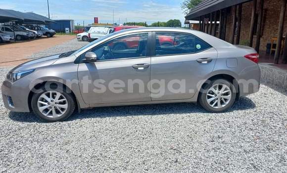 Nunua Ilio tumika Toyota Corolla Silver Gari ndani ya Ezulwini nchini Hhohho Nunua Ilio tumika Toyota Corolla Silver Gari ndani ya Ezulwini nchini Hhohho