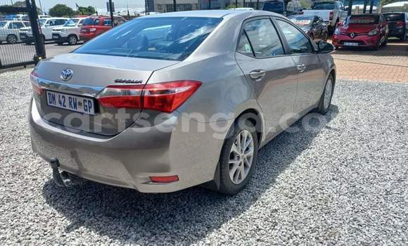Nunua Ilio tumika Toyota Corolla Silver Gari ndani ya Ezulwini nchini Hhohho Nunua Ilio tumika Toyota Corolla Silver Gari ndani ya Ezulwini nchini Hhohho