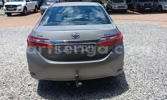 Nunua Ilio tumika Toyota Corolla Silver Gari ndani ya Ezulwini nchini Hhohho Nunua Ilio tumika Toyota Corolla Silver Gari ndani ya Ezulwini nchini Hhohho