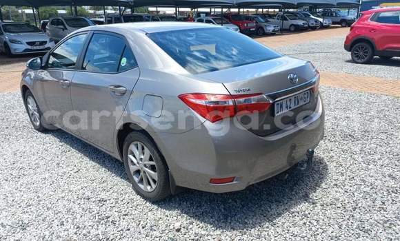 Nunua Ilio tumika Toyota Corolla Silver Gari ndani ya Ezulwini nchini Hhohho Nunua Ilio tumika Toyota Corolla Silver Gari ndani ya Ezulwini nchini Hhohho