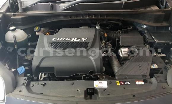 Nunua Ilio tumika Kia Sportage Blue Gari ndani ya Manzini nchini Manzini Nunua Ilio tumika Kia Sportage Blue Gari ndani ya Manzini nchini Manzini