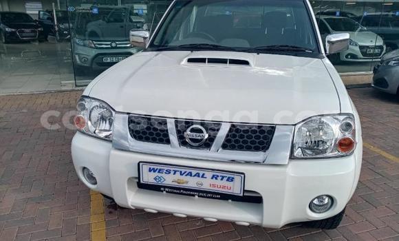 Acheter Occasion Voiture Nissan NP 300 Blanc à Big Bend, Lubombo District Acheter Occasion Voiture Nissan NP 300 Blanc à Big Bend, Lubombo District
