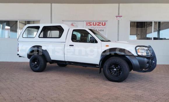 Nunua Ilio tumika Nissan Hardbody White Gari ndani ya Big Bend nchini Lubombo Nunua Ilio tumika Nissan Hardbody White Gari ndani ya Big Bend nchini Lubombo