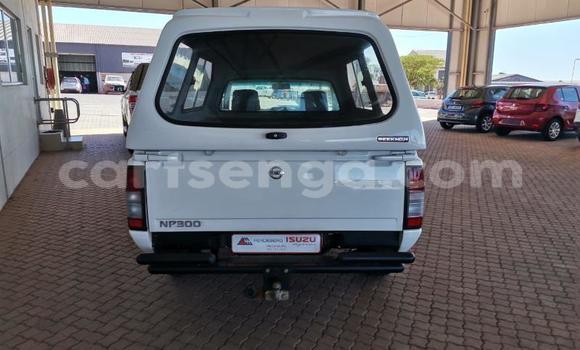 Nunua Ilio tumika Nissan Hardbody White Gari ndani ya Big Bend nchini Lubombo Nunua Ilio tumika Nissan Hardbody White Gari ndani ya Big Bend nchini Lubombo