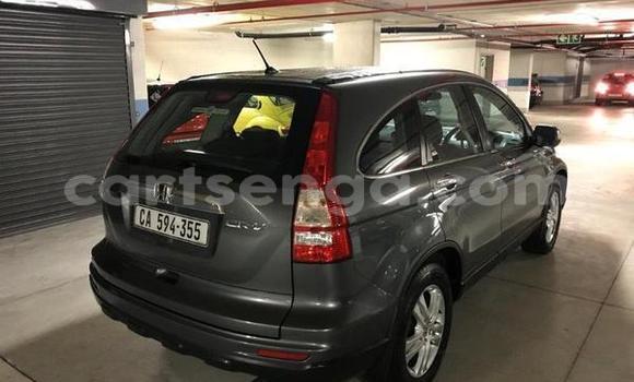 Buy Used Honda CRâV Silver Car in Big Bend in Lubombo District Buy Used Honda CRâV Silver Car in Big Bend in Lubombo District