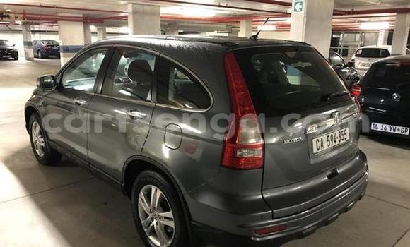 Buy Used Honda CRâV Silver Car in Big Bend in Lubombo District Buy Used Honda CRâV Silver Car in Big Bend in Lubombo District