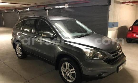 Buy Used Honda CRâV Silver Car in Big Bend in Lubombo District Buy Used Honda CRâV Silver Car in Big Bend in Lubombo District