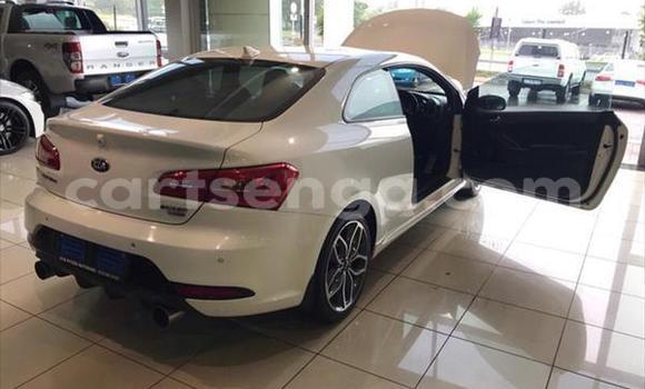 Buy Used Kia Cerato White Car in Big Bend in Lubombo District Buy Used Kia Cerato White Car in Big Bend in Lubombo District