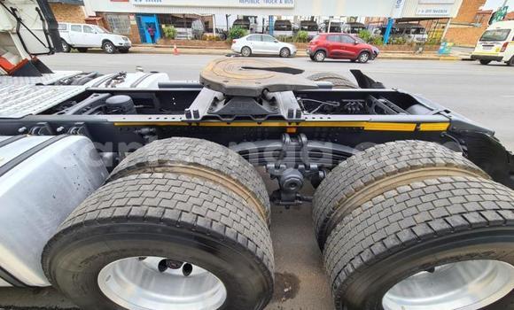 Nunua Ilio tumika Scania Irizar White Lori ndani ya Tshaneni nchini Lubombo Nunua Ilio tumika Scania Irizar White Lori ndani ya Tshaneni nchini Lubombo