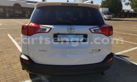 Buy Used Toyota RAV4 White Car in Big Bend in Lubombo District Buy Used Toyota RAV4 White Car in Big Bend in Lubombo District