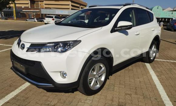 Buy Used Toyota RAV4 White Car in Big Bend in Lubombo District Buy Used Toyota RAV4 White Car in Big Bend in Lubombo District