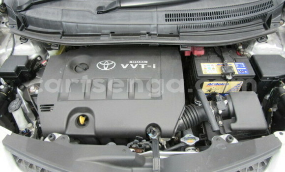 Nunua Ilio tumika Toyota IST Silver Gari ndani ya Big Bend nchini Wilaya ya Lubombo Nunua Ilio tumika Toyota IST Silver Gari ndani ya Big Bend nchini Wilaya ya Lubombo