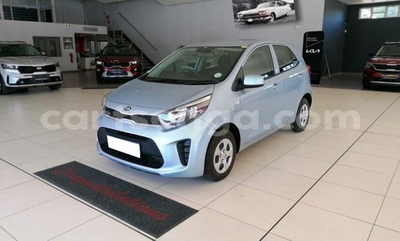Buy Used Kia Picanto Blue Car in Hlatikulu in Shiselweni District Buy Used Kia Picanto Blue Car in Hlatikulu in Shiselweni District