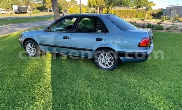 Nunua Ilio tumika Toyota Corolla Green Gari ndani ya Ezulwini nchini Hhohho Nunua Ilio tumika Toyota Corolla Green Gari ndani ya Ezulwini nchini Hhohho