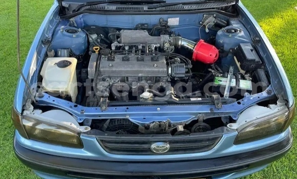 Nunua Ilio tumika Toyota Corolla Green Gari ndani ya Ezulwini nchini Hhohho Nunua Ilio tumika Toyota Corolla Green Gari ndani ya Ezulwini nchini Hhohho