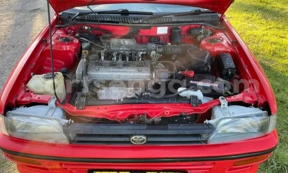 Buy Used Toyota Corolla Red Car in Ezulwini in Hhohho Buy Used Toyota Corolla Red Car in Ezulwini in Hhohho