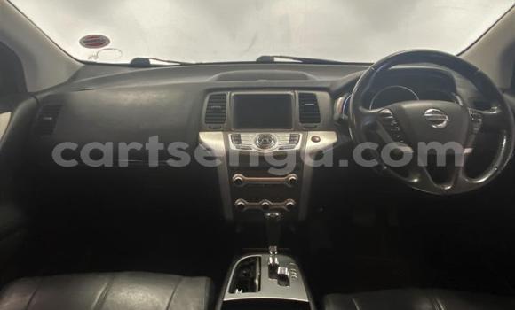 Buy Used Nissan Murano Silver Car in Big Bend in Lubombo District Buy Used Nissan Murano Silver Car in Big Bend in Lubombo District