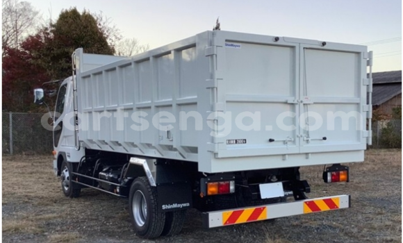 Buy Used Mitsubishi Van White Truck in Big Bend in Lubombo District Buy Used Mitsubishi Van White Truck in Big Bend in Lubombo District
