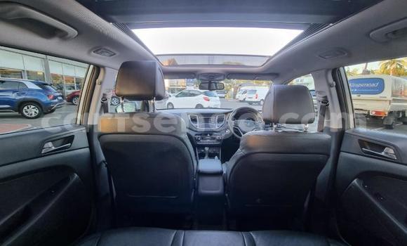 Acheter Occasion Voiture Hyundai Tucson Gris à Mbabane, Manzini Acheter Occasion Voiture Hyundai Tucson Gris à Mbabane, Manzini