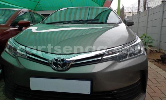 Acheter Occasion Voiture Toyota Corolla Gris à Vuvulane, Lubombo District Acheter Occasion Voiture Toyota Corolla Gris à Vuvulane, Lubombo District