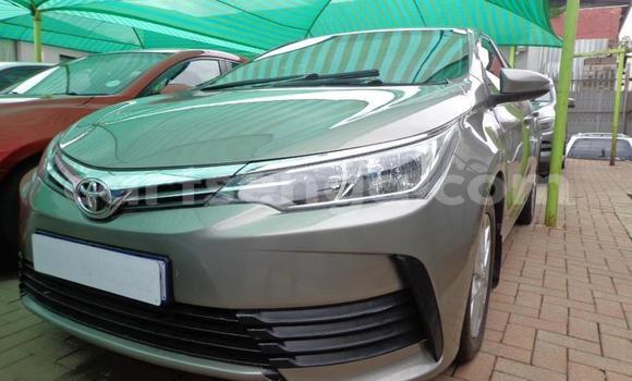 Acheter Occasion Voiture Toyota Corolla Gris à Vuvulane, Lubombo District Acheter Occasion Voiture Toyota Corolla Gris à Vuvulane, Lubombo District