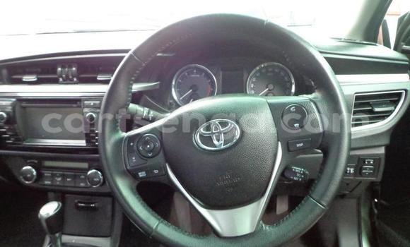 Acheter Occasion Voiture Toyota Corolla Gris à Vuvulane, Lubombo District Acheter Occasion Voiture Toyota Corolla Gris à Vuvulane, Lubombo District