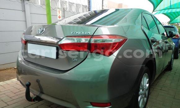 Acheter Occasion Voiture Toyota Corolla Gris à Vuvulane, Lubombo District Acheter Occasion Voiture Toyota Corolla Gris à Vuvulane, Lubombo District