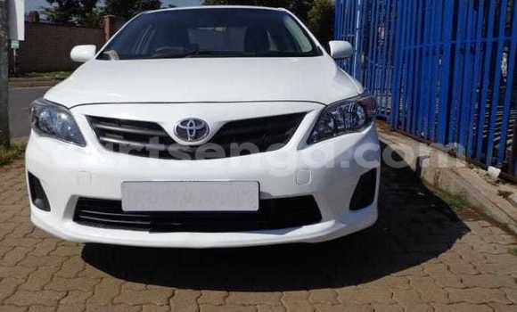 Buy Used Toyota Corolla White Car in Malkerns in Manzini Buy Used Toyota Corolla White Car in Malkerns in Manzini