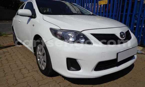 Buy Used Toyota Corolla White Car in Malkerns in Manzini Buy Used Toyota Corolla White Car in Malkerns in Manzini
