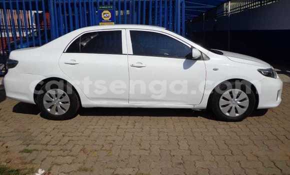 Buy Used Toyota Corolla White Car in Malkerns in Manzini Buy Used Toyota Corolla White Car in Malkerns in Manzini