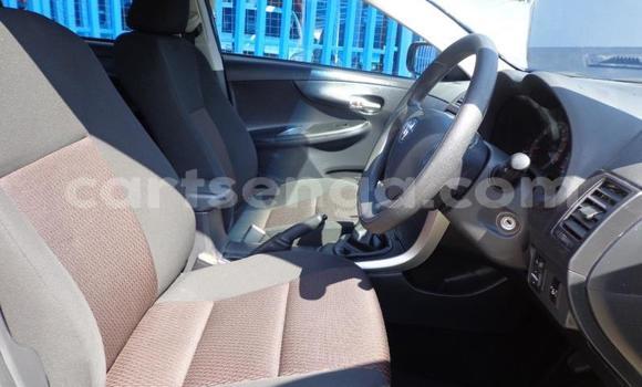 Buy Used Toyota Corolla White Car in Malkerns in Manzini Buy Used Toyota Corolla White Car in Malkerns in Manzini