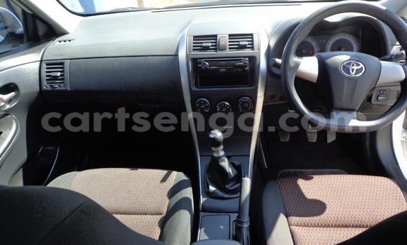 Buy Used Toyota Corolla White Car in Malkerns in Manzini Buy Used Toyota Corolla White Car in Malkerns in Manzini