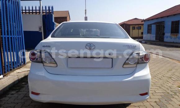 Buy Used Toyota Corolla White Car in Malkerns in Manzini Buy Used Toyota Corolla White Car in Malkerns in Manzini