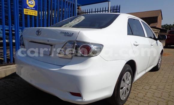 Buy Used Toyota Corolla White Car in Malkerns in Manzini Buy Used Toyota Corolla White Car in Malkerns in Manzini