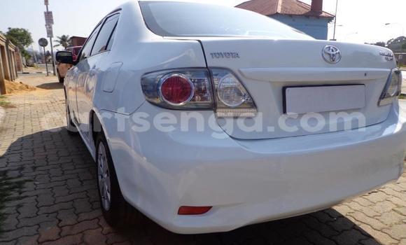 Buy Used Toyota Corolla White Car in Malkerns in Manzini Buy Used Toyota Corolla White Car in Malkerns in Manzini