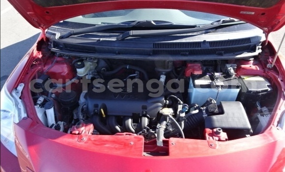 Buy Used Toyota Belta Red Car in Ezulwini in Hhohho Buy Used Toyota Belta Red Car in Ezulwini in Hhohho