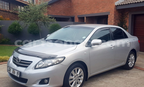 Buy Used Toyota Corolla Silver Car in Mbabane in Manzini Buy Used Toyota Corolla Silver Car in Mbabane in Manzini