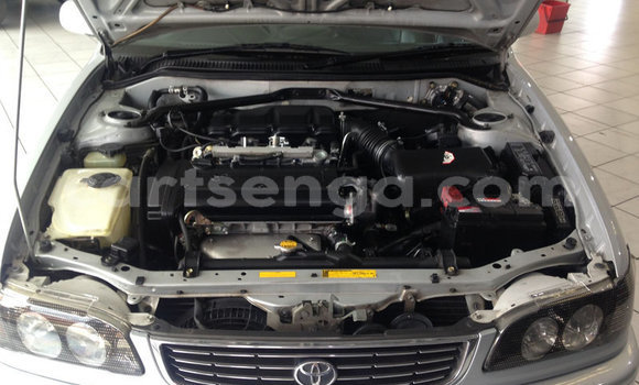 Buy Used Toyota Corolla Silver Car in Mbabane in Manzini Buy Used Toyota Corolla Silver Car in Mbabane in Manzini