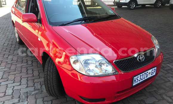 Buy Used Toyota Corolla Red Car in Mbabane in Manzini Buy Used Toyota Corolla Red Car in Mbabane in Manzini