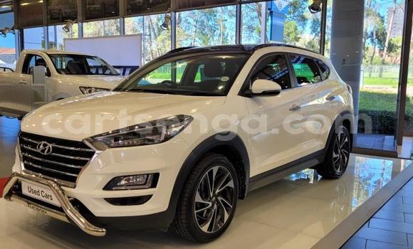 Acheter Occasion Voiture Hyundai Tucson Blanc à Ezulwini, Hhohho Acheter Occasion Voiture Hyundai Tucson Blanc à Ezulwini, Hhohho