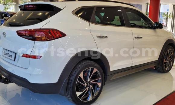 Acheter Occasion Voiture Hyundai Tucson Blanc à Ezulwini, Hhohho Acheter Occasion Voiture Hyundai Tucson Blanc à Ezulwini, Hhohho